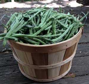 Basket of Green Beans