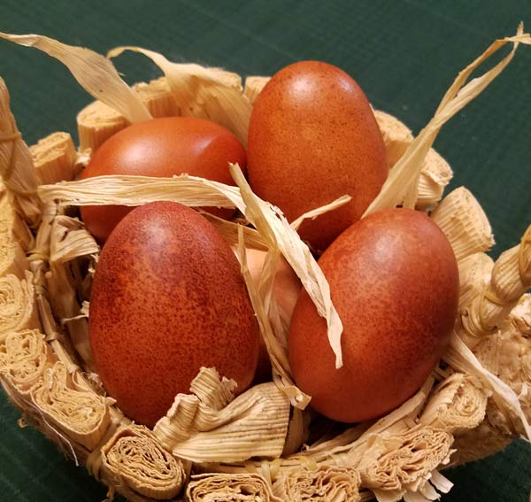 Eggs dyed with onion skins